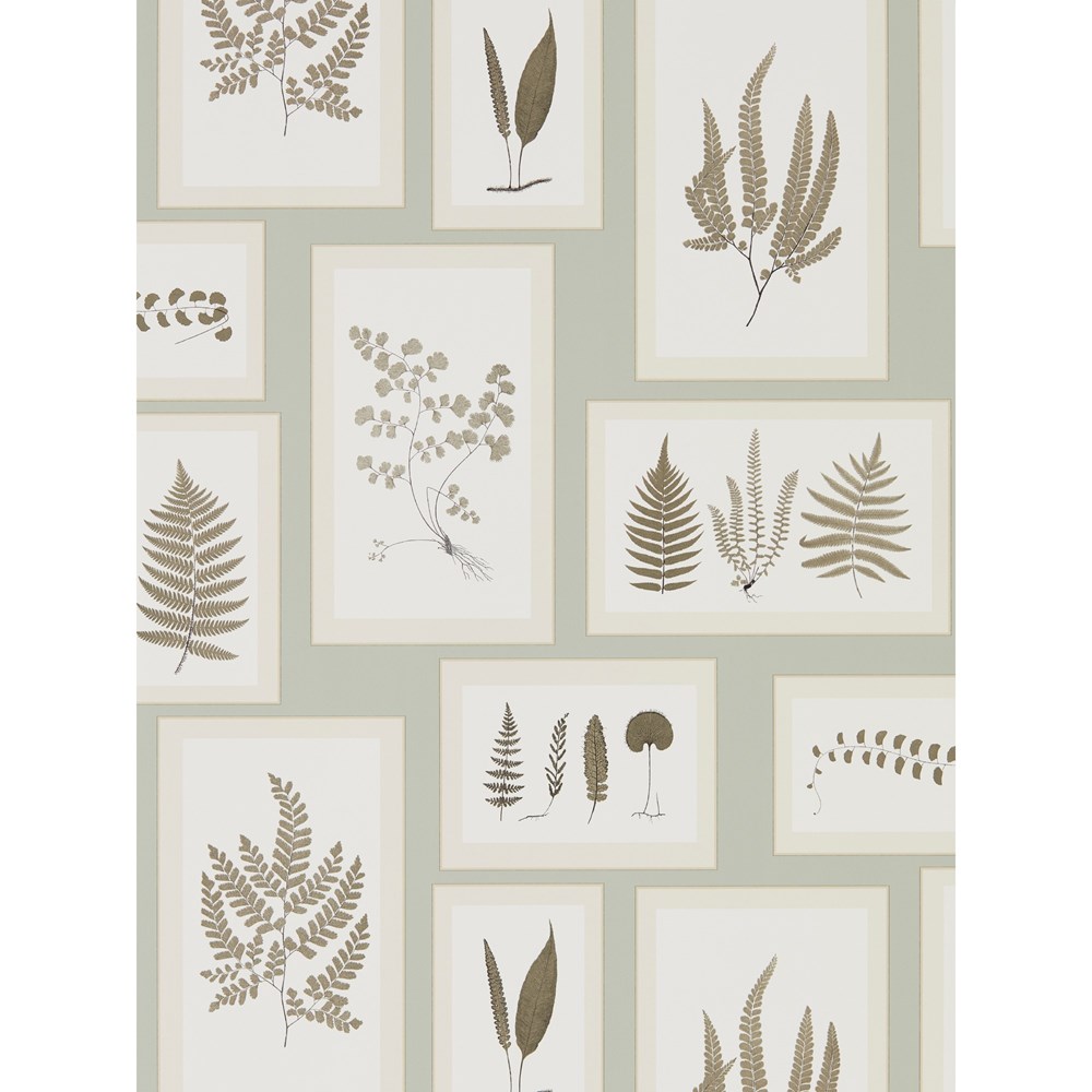 Fern Gallery Wallpaper 215715 by Sanderson in Blue Sepia Brown